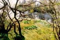 The landscape of lettuce park and Hillsborough river