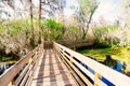 The landscape of lettuce park and Hillsborough river