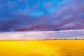 landscape like ukranian flag ukraine Aerial View Of Agricultural Landscape With Flowering Blooming Oilseed Field. Spring Royalty Free Stock Photo