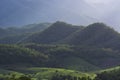 Landscape of the lined Green terraced rice field and farmer house behind the mountain with shadow light