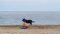 Landscape with a little boy playing in the sand and a big black dog against the blue sea. Royalty Free Stock Photo