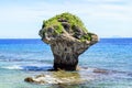 Landscape of Little Liuqiu, vase rock in Liuqiu island