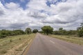 scenic sky over R40 tree-lined road near Timbavati, South Africa Royalty Free Stock Photo