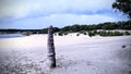 Landscape Lommelse Sahara beach Belgium