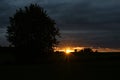 Landscape. lonely tree silhouette on open field at sunset. orange sunset Royalty Free Stock Photo