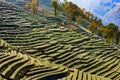 Landscape of Longjing Royalty Free Stock Photo
