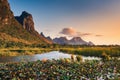 Landscape of Lotus Flowers Lake and Mountain Scenery at Sunset, Natural Countryside Background