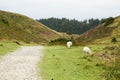 Landscape and lovely nature in Rebild Hills in Denmark