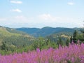 Landscape in the Low Tatras