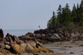 Landscape at low tide with rock, trees and the sea