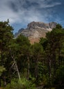 Landscape at Lus La Croix Haut with Pine woods and mountains in the distance ,Drome France Royalty Free Stock Photo