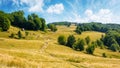 landscape with lush beech trees near the dirt road uphill Royalty Free Stock Photo