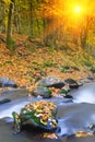 Landscape magic river in autumn forest.