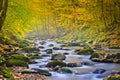 Landscape magic river in autumn forest at sunlight.