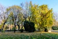 Landscape with the main alley with vivid green and yellow plants, green lime trees and grass in a sunny autumn day in Cismigiu Royalty Free Stock Photo