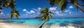 Landscape on Maldives island. Beautiful sky and clouds and beach with palms background for summer vacation holiday and travel Royalty Free Stock Photo