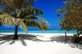 Landscape on Maldives island. Beautiful sky and ocean and sandy beach with palms and hammock background for summer vacation.