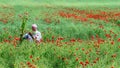 - LANDSCAPE with a man in a field of red poppies, on a hot sunny day B Royalty Free Stock Photo