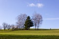 landscape with man walking and tree on blue sky in december advent sunny day Royalty Free Stock Photo