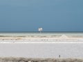 Landscape of Manaure salt mines in Colombia Royalty Free Stock Photo