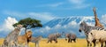 Landscape with many african animals Royalty Free Stock Photo