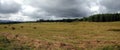 Landscape with many hay rolls on rural filed in the cloudy weather on last summer days Royalty Free Stock Photo