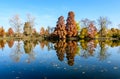 Landscape with many large green, yellow and orange trees near the lake in Herastrau Park in Bucharest, Romania,  in a sunny autumn Royalty Free Stock Photo