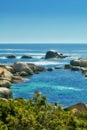 Landscape of many rocks in the ocean surrounded by green bushes or shrubs. Large stones or boulders making tidal pool Royalty Free Stock Photo