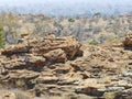 Landscape in Mapungubwe