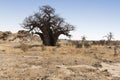 Landscape of Mapungubwe national park