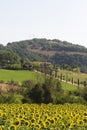 Landscape in Maremma (Tuscany) Royalty Free Stock Photo