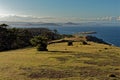 Landscape in Maria Island in Tasmania, national reservation in Australia, beautiful seaside and coastal scenery