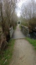 Landscape, marsh, lake, pond, tree, path, walk, calm, serenity