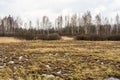 Landscape of marshland with a leaf bare tree silhouetted against a cloudy blue sky. Dead marsh grasses, water with reflection & Royalty Free Stock Photo