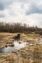 Landscape of marshland with a leaf bare tree silhouetted against a cloudy blue sky. Dead marsh grasses, water with reflection & Royalty Free Stock Photo