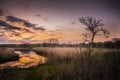 Landscape of a Marshland in northern germany Royalty Free Stock Photo