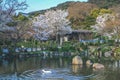 landscape of maruyama park in kyoto in japan