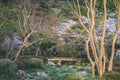 landscape of maruyama park in kyoto in japan