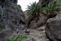 Landscape of Masca gorge.