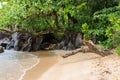 Landscape of Masoala National Park, Madagascar