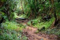 Landscape of Masoala National Park, Madagascar