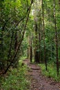 Landscape of Masoala National Park, Madagascar