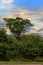 Landscape of Masoala National Park, Madagascar