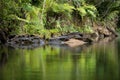 Landscape of Masoala National Park, Madagascar Royalty Free Stock Photo