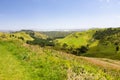 landscape Matamata