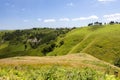 landscape Matamata