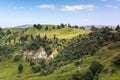 landscape Matamata