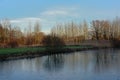 Meadow with bare winter trees along river Scheldt in the Flemish countryside Royalty Free Stock Photo