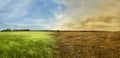 Landscape of meadow field with the changing environment Royalty Free Stock Photo