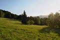 Landscape of meadow and forest in the sunlight Royalty Free Stock Photo